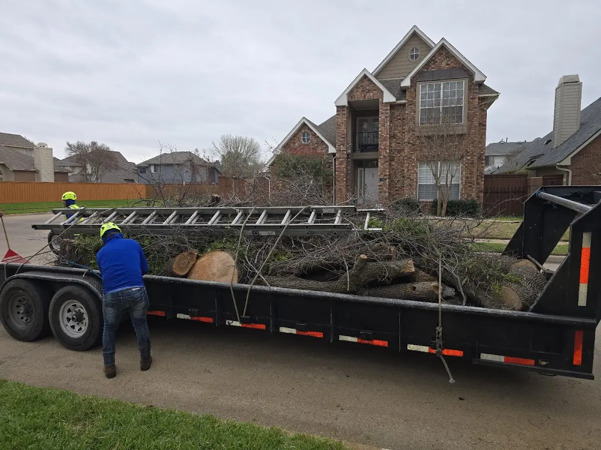 Expert Tree Fertilization with proper safety equipment in Custar
